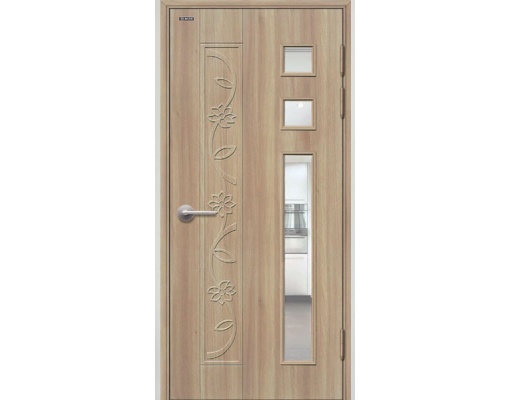 CỬA NHỰA ABS.204, KT 800X2100 HOẶC 900X2200